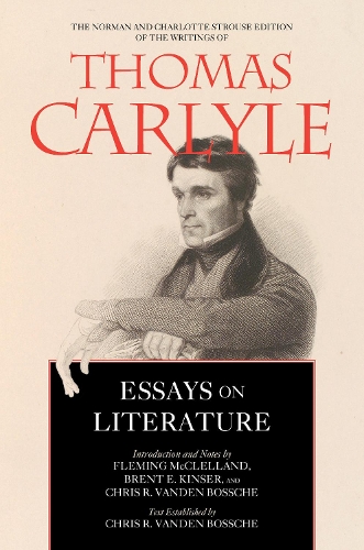 Паперова книга «Essays on Literature», авторів Брент Е. Кінзер, Кріс Рамон Ванден Боссе, Флемінг МакКлелланд - фото №1