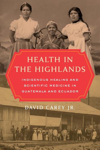 Бумажная книга «Health in the Highlands: Indigenous Healing and Scientific Medicine in Guatemala and Ecuador», автор Дэвид Кэри - фото №1