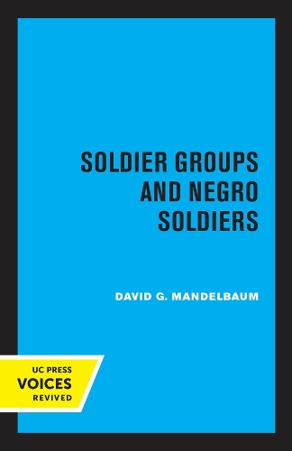 Бумажная книга «Soldier Groups and Negro Soldiers», автор Дэвид Г. Мандельбаум - фото №1