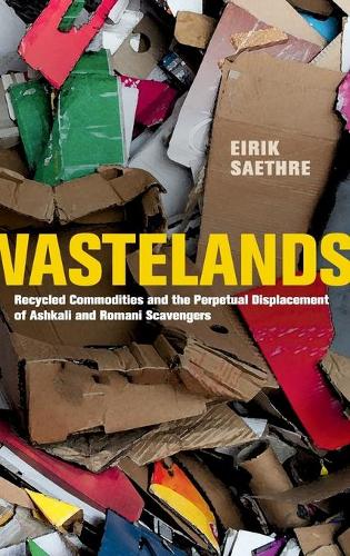 Бумажная книга «Wastelands: Recycled Commodities and the Perpetual Displacement of Ashkali and Romani Scavengers», автор Эйрик Саетр - фото №1