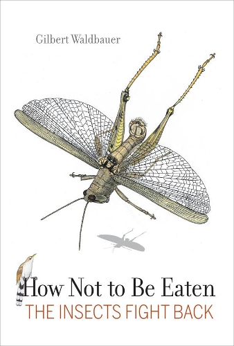 Паперова книга «How Not to Be Eaten: The Insects Fight Back», автор Гілберт Вальдбауер - фото №1