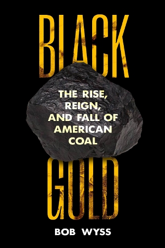Бумажная книга «Black Gold: The Rise, Reign, and Fall of American Coal», автор Боб Уайсс - фото №1