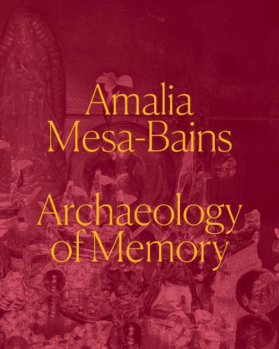 Бумажная книга «Amalia Mesa-Bains: Archaeology of Memory», авторов Лаура Э. Перес, Мария Эстер Фернандес - фото №1