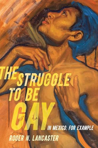Бумажная книга «The Struggle to Be Gay—in Mexico, for Example», автор Роджер Н. Ланкастер - фото №1