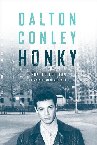 Паперова книга «Honky», автор Далтон Конлі - фото №1