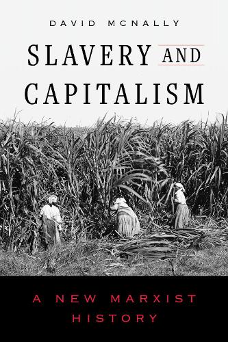 Бумажная книга «Slavery and Capitalism: A New Marxist History», автор Дэвид МакНелли - фото №1