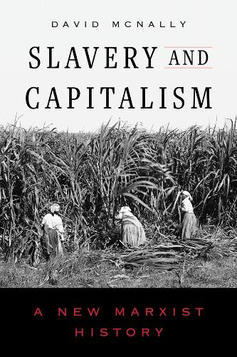 Бумажная книга «Slavery and Capitalism: A New Marxist History», автор Дэвид МакНелли - фото №1