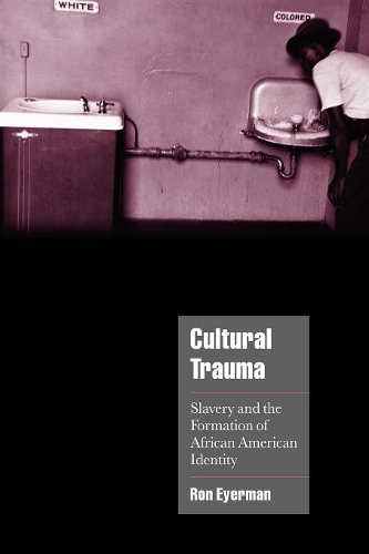 Бумажная книга «Cultural Trauma: Slavery and the Formation of African American Identity», автор Рон Эйерман - фото №1
