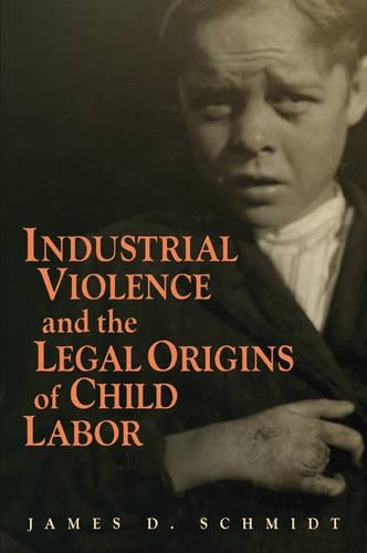 Бумажная книга «Industrial Violence and the Legal Origins of Child Labor», автор Джеймс Д. Шмидт - фото №1