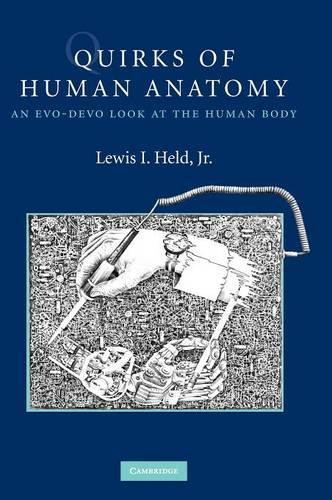 Бумажная книга «Quirks of Human Anatomy: An Evo-Devo Look at the Human Body», автор Льюис И. Хелд-младший - фото №1