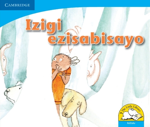 Бумажная книга «Izigi ezisabisayo (IsiZulu)», автор Джоан Рэнкин - фото №1