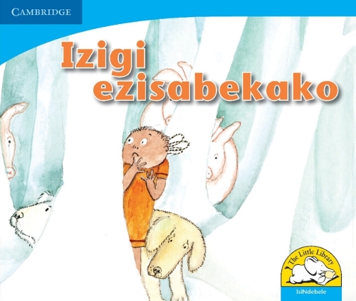 Бумажная книга «Izigi ezisabekako (IsiNdebele)», автор Джоан Рэнкин - фото №1