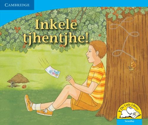 Бумажная книга «Inkele tjhentjhe! (Sesotho)», автор Керри Саадиен-Раад - фото №1