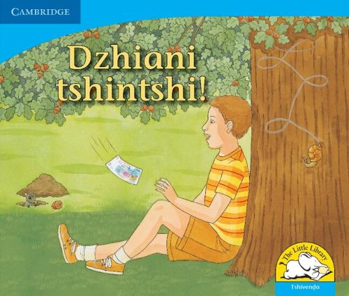 Бумажная книга «Dzhiani tshintshi! (Tshivenda)», автор Керри Саадиен-Раад - фото №1