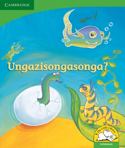 [object Object] «Ungazisongasonga? (IsiNdebele)», автор Керри Саадиен-Раад - фото №1