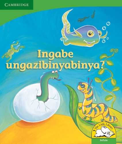 Бумажная книга «Ingabe ungazibinyabinya? (IsiZulu)», автор Керри Саадиен-Раад - фото №1