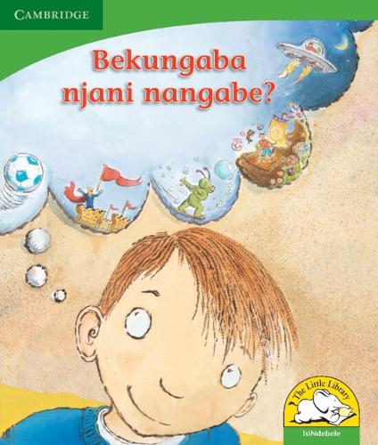 Бумажная книга «Bekungaba njani nangabe? (IsiNdebele)», авторов Дафна Пайзи, Керри Саадиен-Раад - фото №1