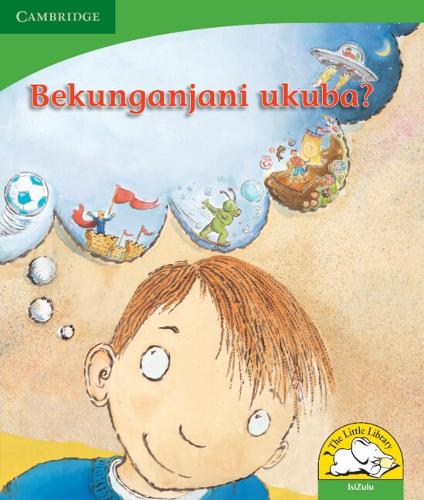 Бумажная книга «Bekunganjani ukuba? (IsiZulu)», авторов Дафна Пайзи, Керри Саадиен-Раад - фото №1