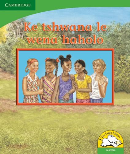 Бумажная книга «Ke tshwana le wena haholo (Sesotho)», автор Керри Саадиен-Раад - фото №1