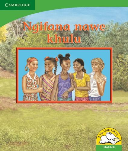 Бумажная книга «Ngifana nawe khulu (IsiNdebele)», автор Керри Саадиен-Раад - фото №1
