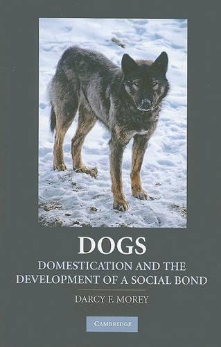 Бумажная книга «Dogs: Domestication and the Development of a Social Bond», автор Дарси Ф. Мори - фото №1