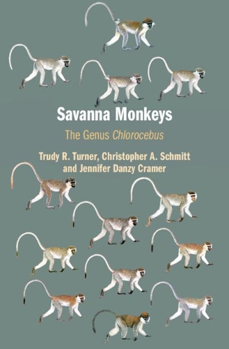 Бумажная книга «Savanna Monkeys: The Genus Chlorocebus», авторов Кристофер А. Шмитт, Дженнифер Данзи Крамер - фото №1