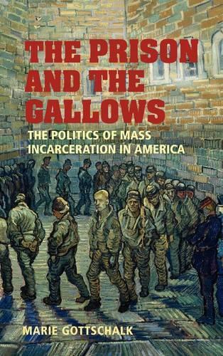Бумажная книга «The Prison and the Gallows: The Politics of Mass Incarceration in America», автор Мари Готтшалк - фото №1