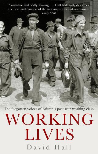 Бумажная книга «Working Lives», автор Дэвид Холл - фото №1