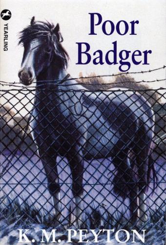 Бумажная книга «Poor Badger», автор Кэтлин Геральд - фото №1