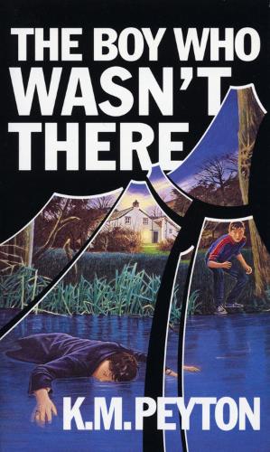 Паперова книга «The Boy Who Wasn't There», автор Кетлін Венді Геральд - фото №1