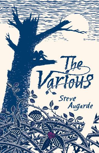 Паперова книга «The Various», автор Стів Огард - фото №1