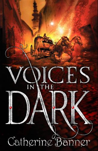 Паперова книга «Voices in the Dark», автор Кетрін Баннер - фото №1
