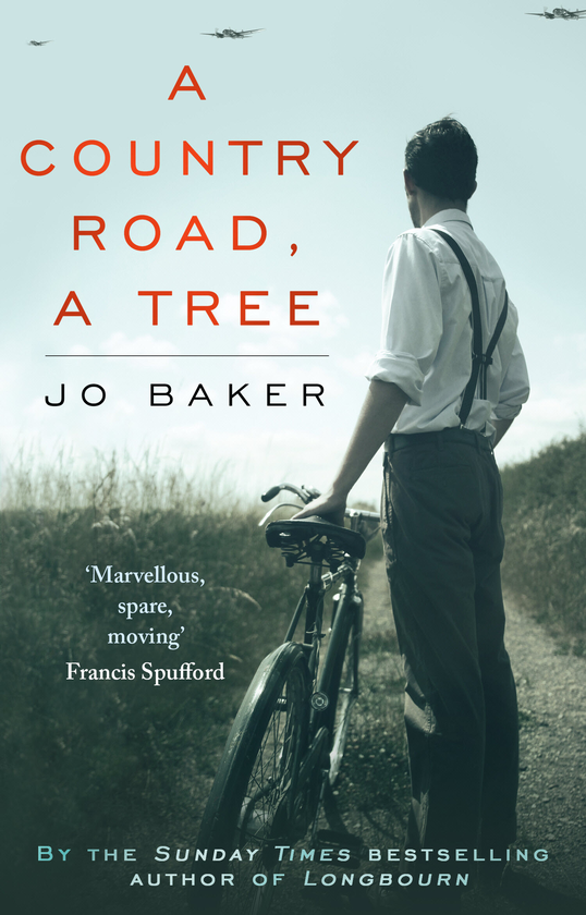 Бумажная книга «A Country Road, A Tree», автор Джо Бейкер - фото №1