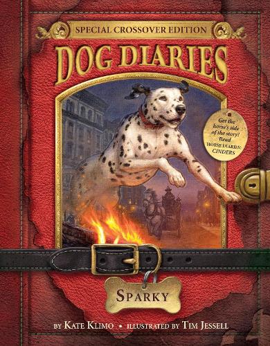 Бумажная книга «Dog Diaries #9: Sparky (Dog Diaries Special Edition)», автор Кейт Климо - фото №1