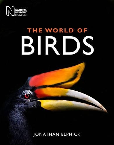 Бумажная книга «The World of Birds» - фото №1
