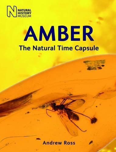 Бумажная книга «Amber: The Natural Time Capsule», автор Эндрю Росс - фото №1