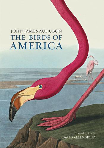Бумажная книга «The Birds of America», автор Джон Джеймс Одюбон - фото №1
