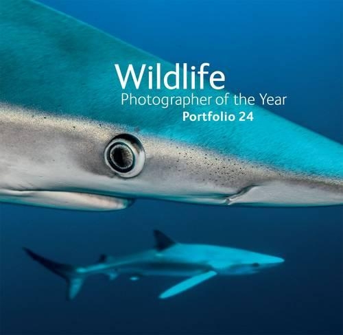 Бумажная книга «Wildlife Photographer Portfolio 24» - фото №1