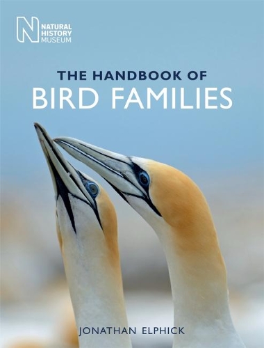 Бумажная книга «The Handbook of Bird Families», автор Джонатан Элфик - фото №1