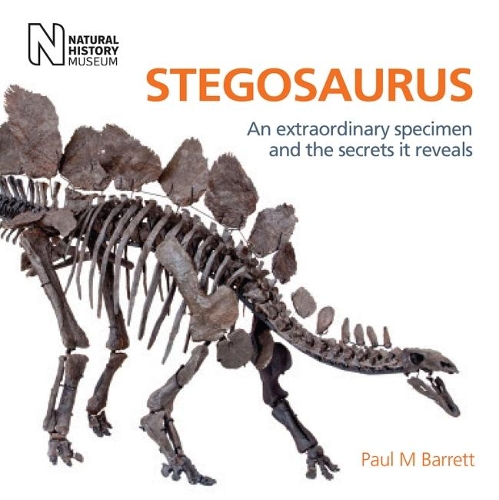 Паперова книга «Stegosaurus», автор Пол М. Барретт - фото №1