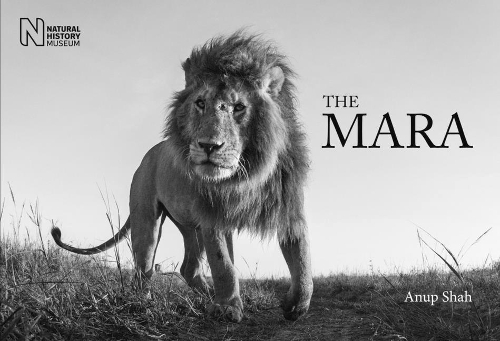 Бумажная книга «The Mara», автор Ануп Шах - фото №1