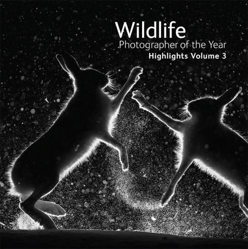 Бумажная книга «WPY Portfolio 27 highlights» - фото №1