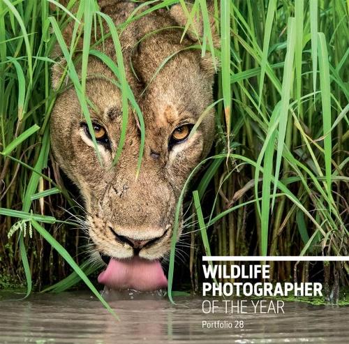 Бумажная книга «Wildlife Photographer of the Year: Portfolio 28» - фото №1