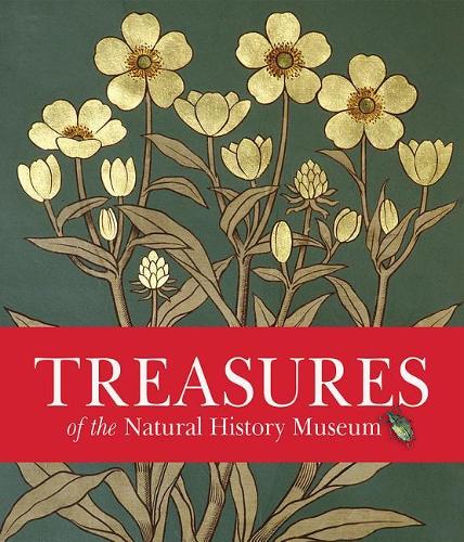Бумажная книга «Treasures of the NHM» - фото №1