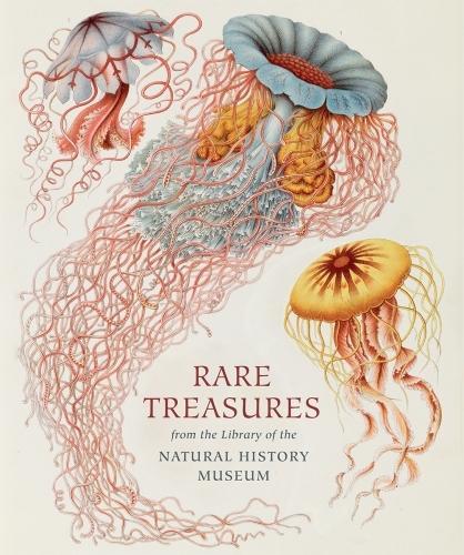 Бумажная книга «Rare Treasures: From the Library of the Natural History Museum», автор Джудит Мейджи - фото №1