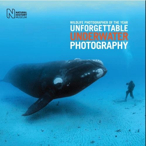 Бумажная книга «Wildlife Photographer of the Year: Unforgettable Underwater Photography», автор Розамунд Кидман Кокс - фото №1
