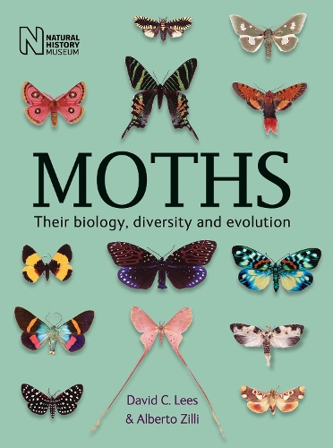 Бумажная книга «Moths: Their biology, diversity and evolution», авторов Альберто Зилли, Дэвид К. Лис - фото №1