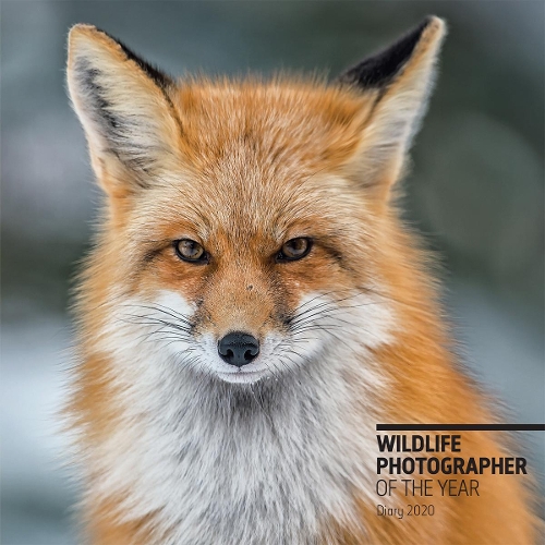 Бумажная книга «Wildlife Photographer of the Year Pocket Diary 2020» - фото №1