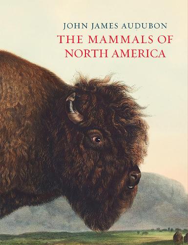 Бумажная книга «The Mammals of North America», автор Джон Джеймс Одюбон - фото №1