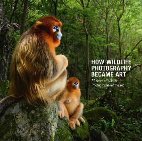 Бумажная книга «How Wildlife Photography Became Art. 55 Years of Wildlife Photographer of the Year», автор Розамунд Кидман Кокс - фото №1